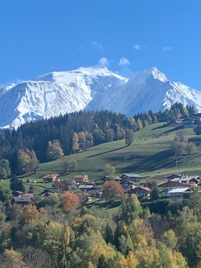 Chalet Mont Blanc Combloux Zewnętrze zdjęcie